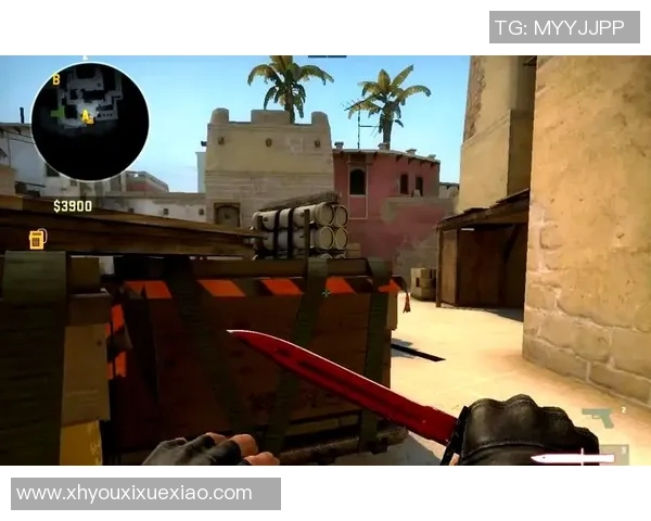 CSGO战术解析：深入探讨FPX战队的进攻策略与执行技巧